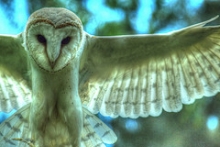 LEED v4 incorporates requirements for exterior lighting to reduce consequences to wildlife.