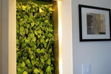 Biowalls are live plants that live inside walls to scrub the air clean.