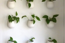 In each green building rating system there are a number of ways to earn credit for indoor environmental quality.