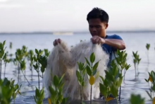 Discarded fishing nets comprise 10% of all free floating ocean debris.