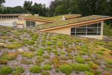 A simple green roof spruces up Arlington's Walter Reed Community Center 