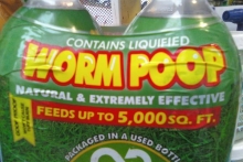 Worm Poop