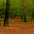 Global Forest Watch can help any fans of Certified Wood beef up their stories.