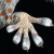 Geckos can run up and down almost any surface cleanly, without slipping and without leaving any adhesive residue.