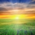 CloudSolar helps renewable energy fans who can't install their own solar panels.
