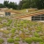 A simple green roof spruces up Arlington's Walter Reed Community Center 