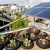 The Zero Cottage is certified LEED for Homes Platinum. It is the first Passive House-certified home in San Francisco and officially achieved Net Zero Energy Building Certification in June 2014. 