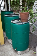 saradent.ca via Flickr Rainwater catchment systems will have a 7 to 10 year payback period for Irish homeowners.