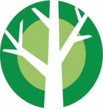 The Poplar Tree