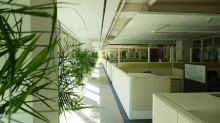 Ted Eytan via Flickr Sustainable design consists of energy conservation/economy and creating spaces that are healthy, economically viable and sensitive to local needs.
