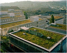 Green roofs filter stormwater, provide insulation and add beauty.