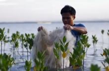 Interface Discarded fishing nets comprise 10% of all free floating ocean debris.