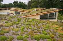 A simple green roof spruces up Arlington's Walter Reed Community Center 